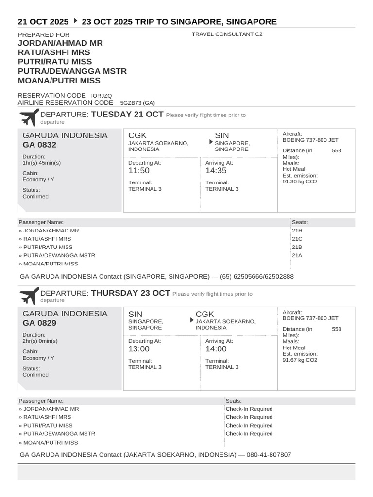 Singapore Trip Sheet for GA Flights | PDF | Airliner | Aviation Safety
