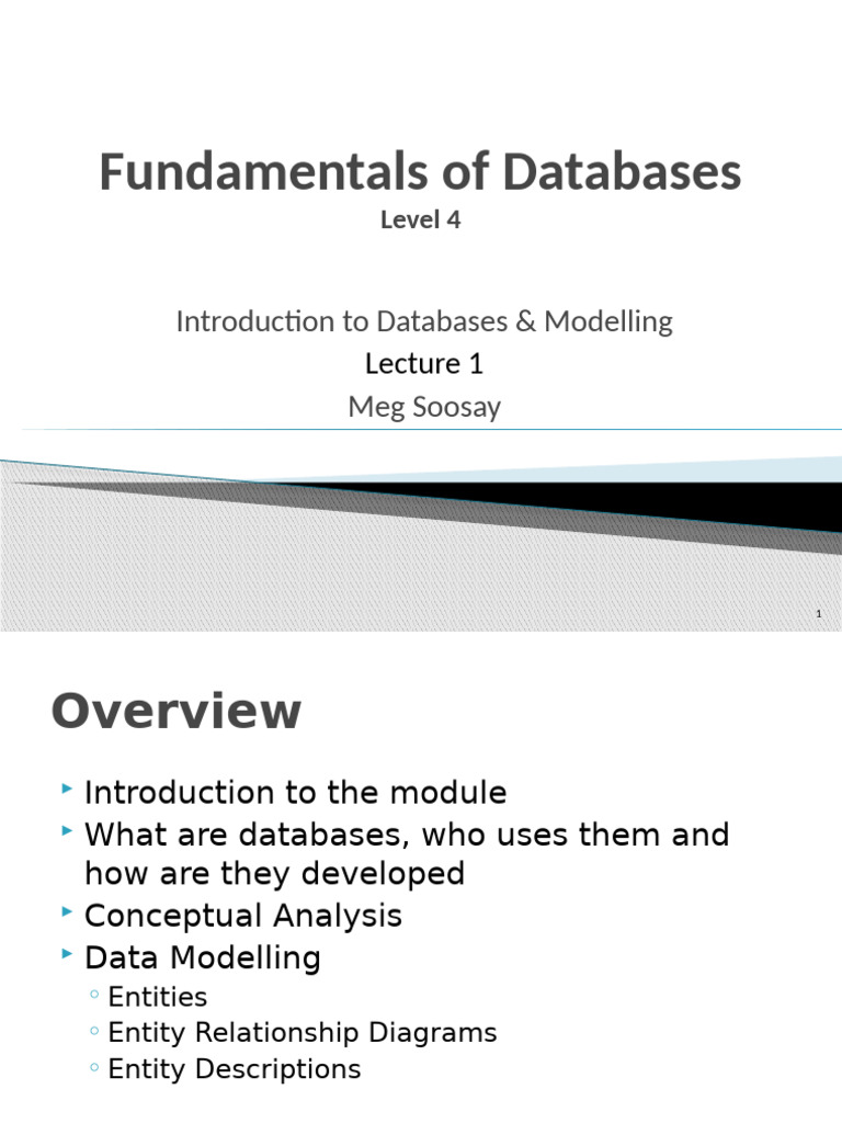 Database Modeling Fundamentals | PDF | Databases | Formula One