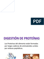 Absorcion Proteina