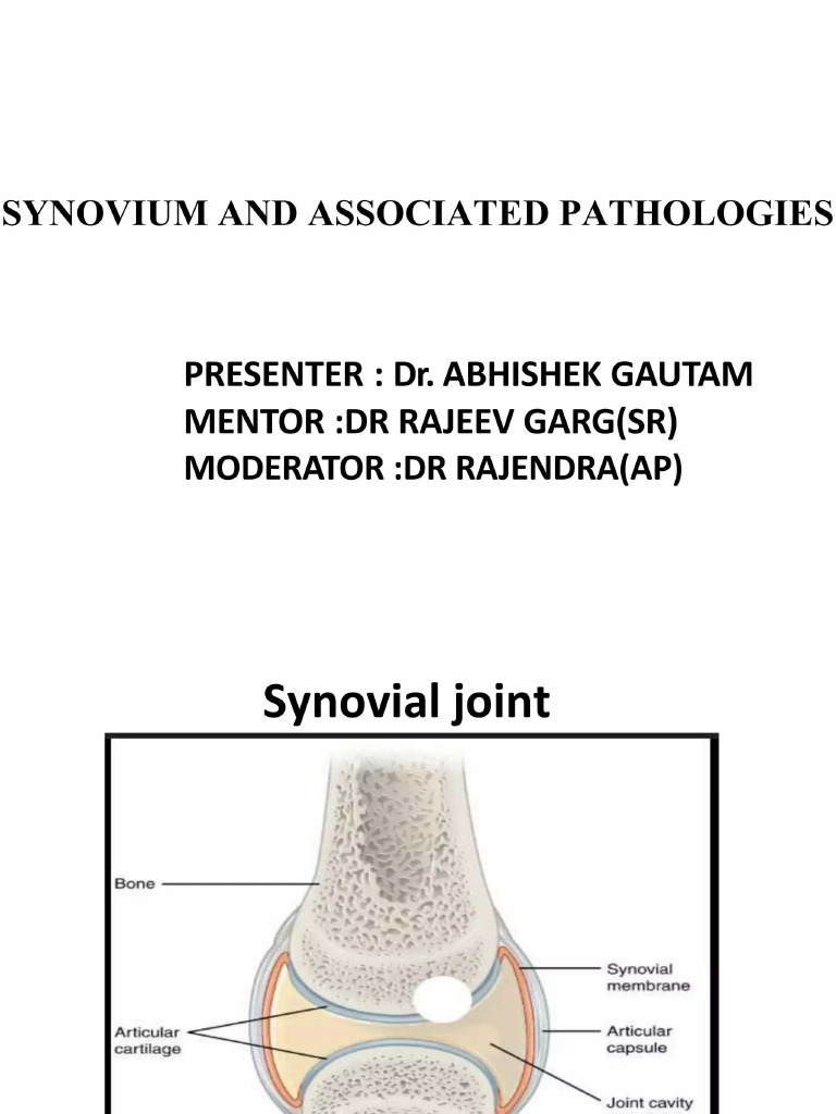 Synovium | PDF