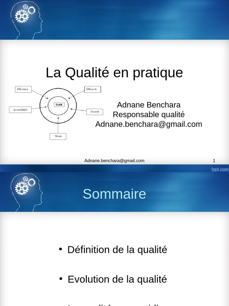 Gestion de la qualité au quotidien | PDF
