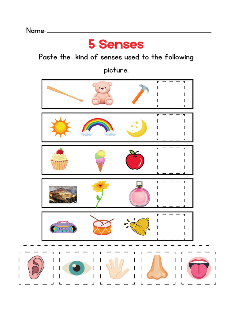 Colorful Illustrative Five Senses Science Worksheet - 20250527 - 120438 ...