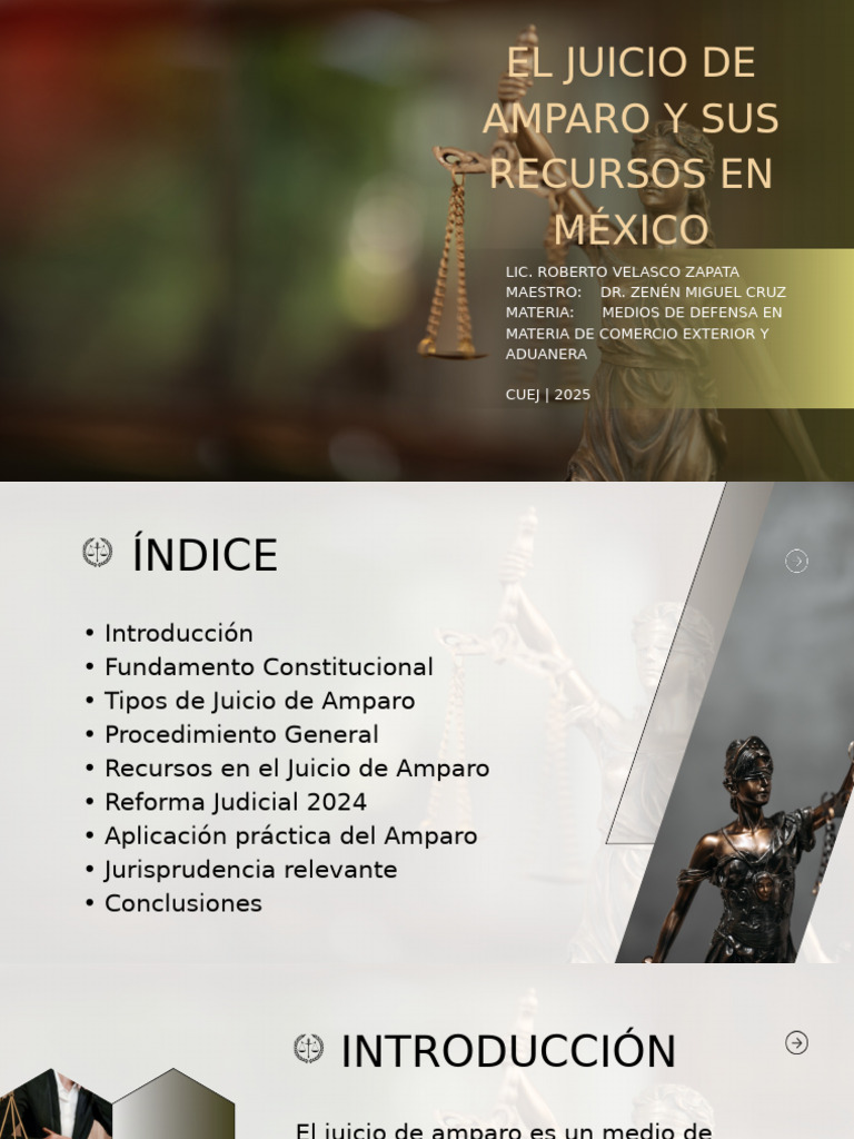 Juicio de Amparo y Recursos en México | PDF | Caso de ley | Judicaturas