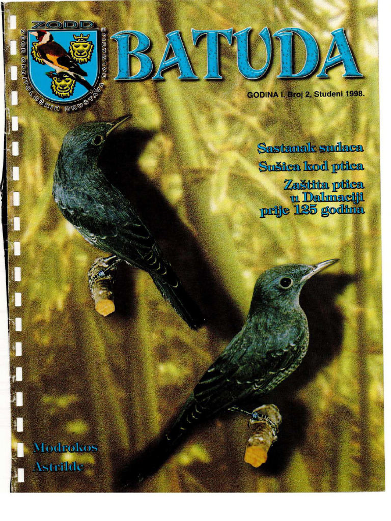 Batuda I Broj 2 | PDF