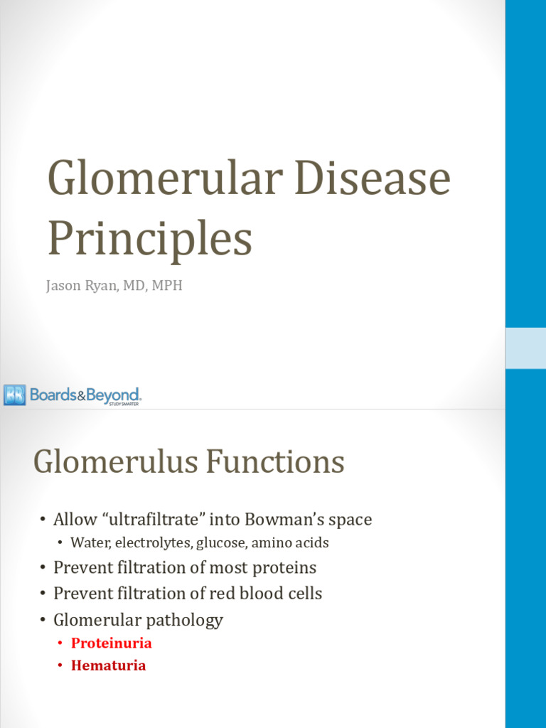 Glomerulonephritis Principles Atf | PDF | Diseases And Disorders ...