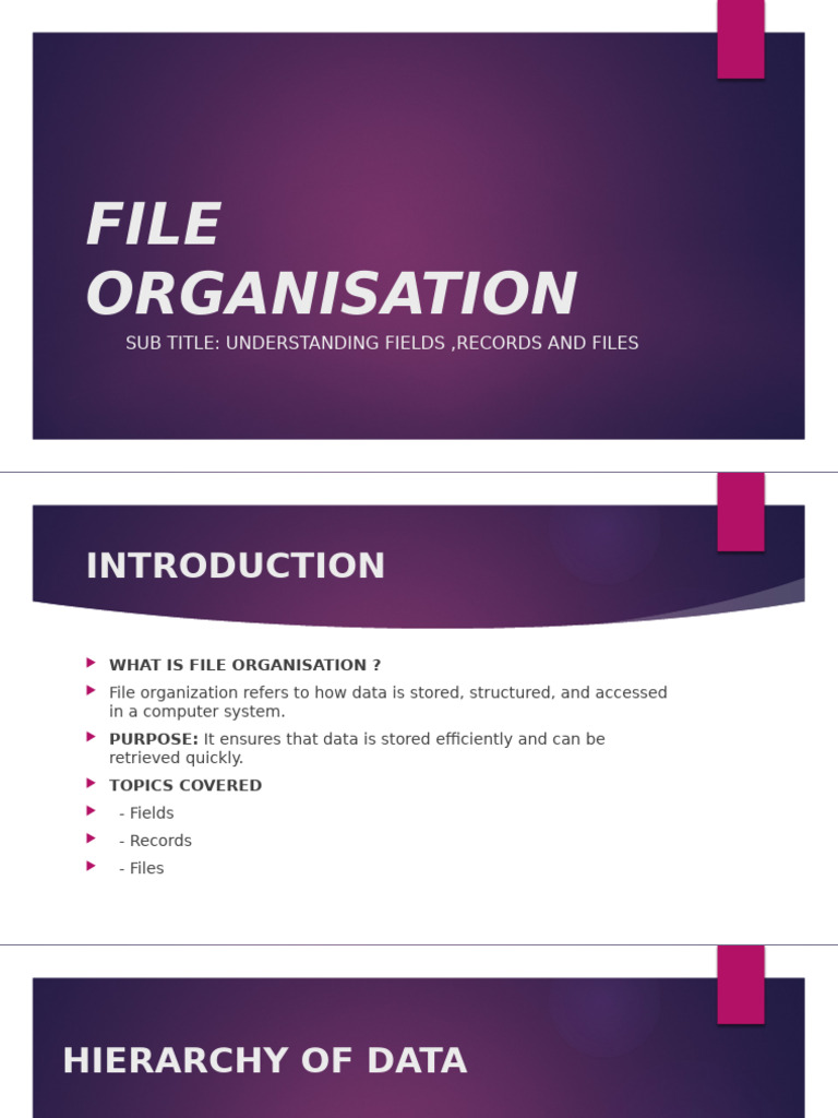 File Organisation Presentation | PDF | Computer File | Databases