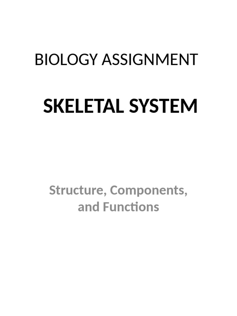 Skeletal System Overview and Functions | PDF | Vertebra | Vertebral Column