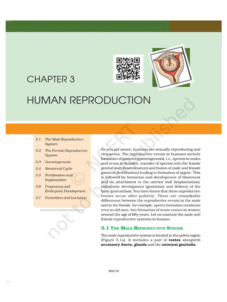 PDF Document | PDF