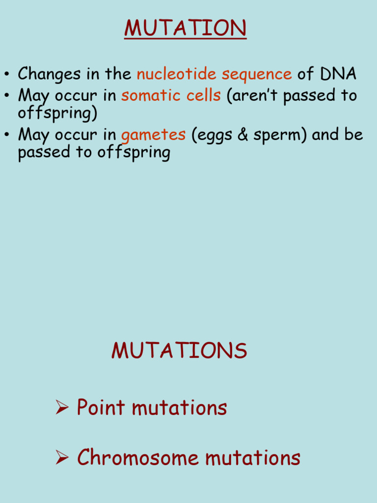 Mat Did 164040 | PDF | Genetic Code | Point Mutation