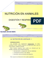 T8-NUTRICIÓNANIMAL