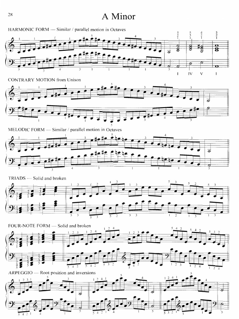 Music Theory: Harmonic & Melodic Forms | PDF | Melody | Musical ...