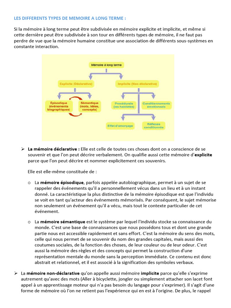 Types de mémoire à long terme | PDF | Mémoire | Mémoire à long terme