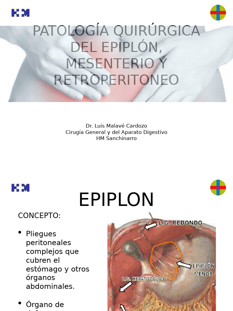 Clase Epiplon, Mesenterio y Retroperitoneo | PDF | Abdomen | Intestino ...