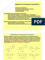 PCR Tecnicas