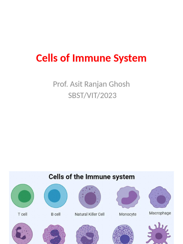 Overview of Immune System Cells | PDF | Immune System | Major ...