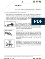 Como fazer diferentes tipos de fogueiras