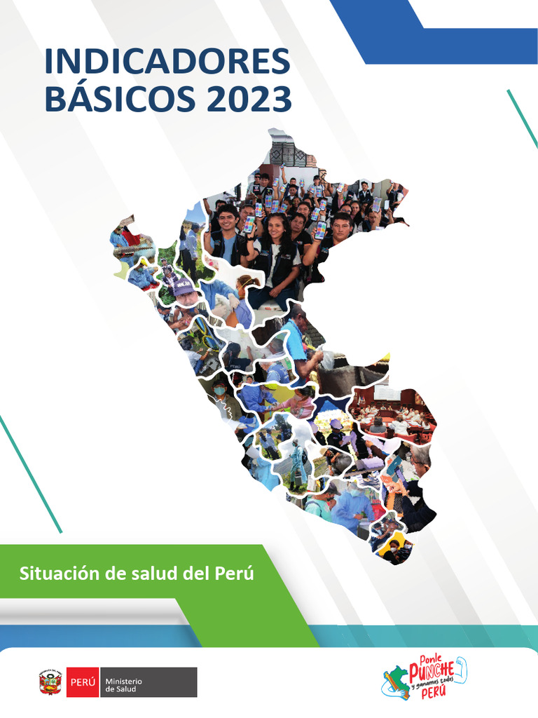 Indicadores Básicos de Salud Perú 2023 | PDF | Organización ...