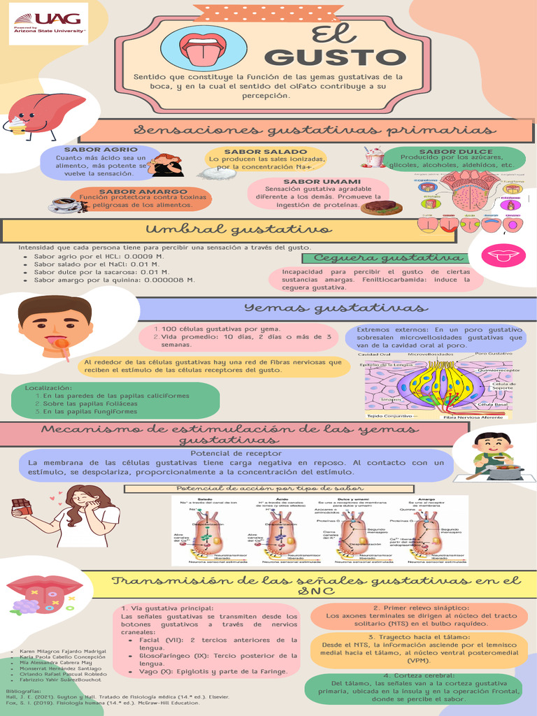 Mecanismos y tipos de sabores en el gusto | PDF | Gusto | Anatomía