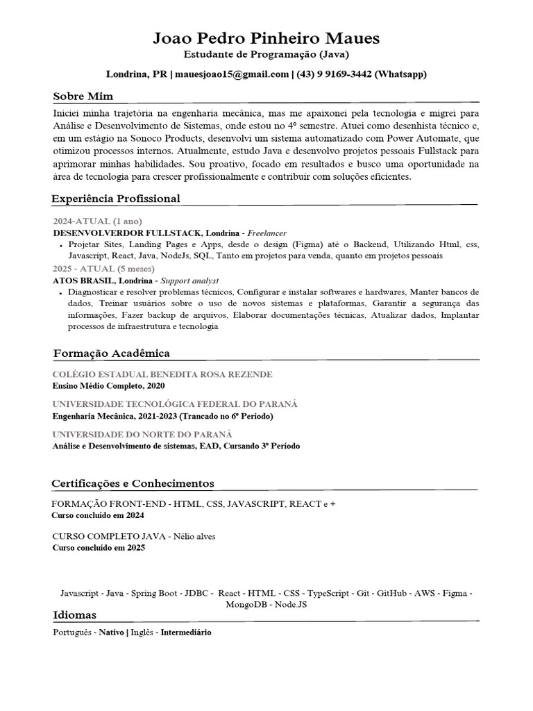 Perfil de Desenvolvedor Fullstack em Java | PDF