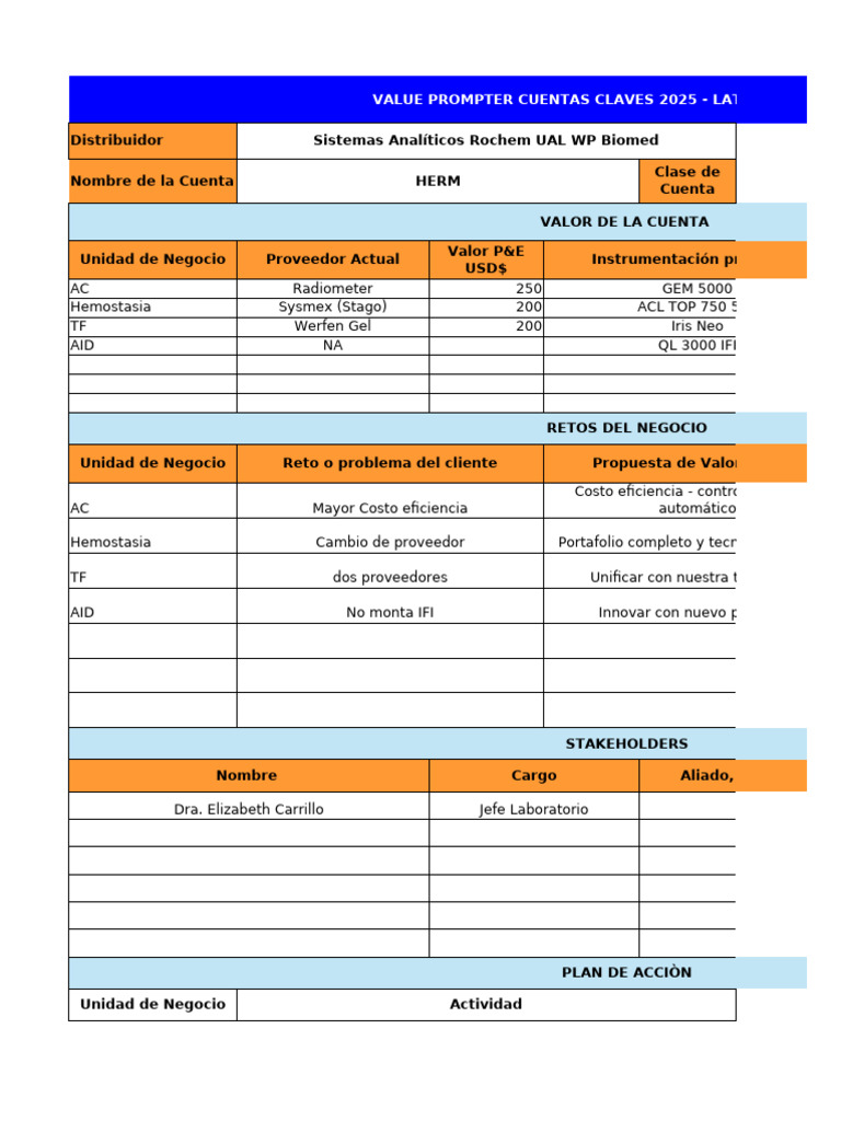 Formato - Value Prompter Cuentas Clave | PDF