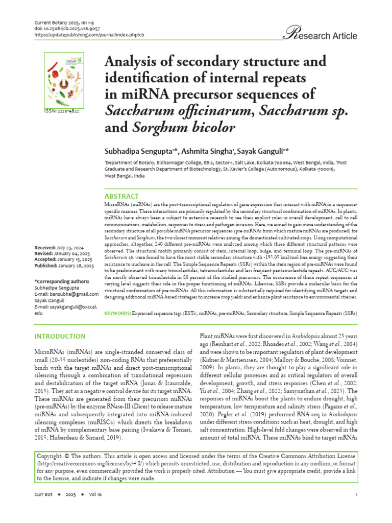 Analysis of miRNA Structures in Crops | PDF | Micro Rna | Regulation Of ...