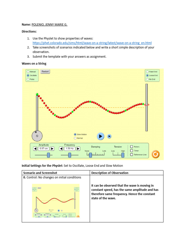 POLENIO - Activity 1. Wave On A String | PDF | Waves | Amplitude