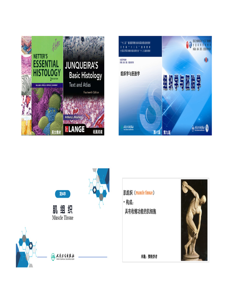 胶原蛋白透明图标。结缔组织蛋白象形图。弹性蛋白生产标志。闪亮光泽的医学符号。健康概念。白色背景中突显的矢量图库存矢量图（免版税）2519629373  | Shutterstock, image size:768x1024