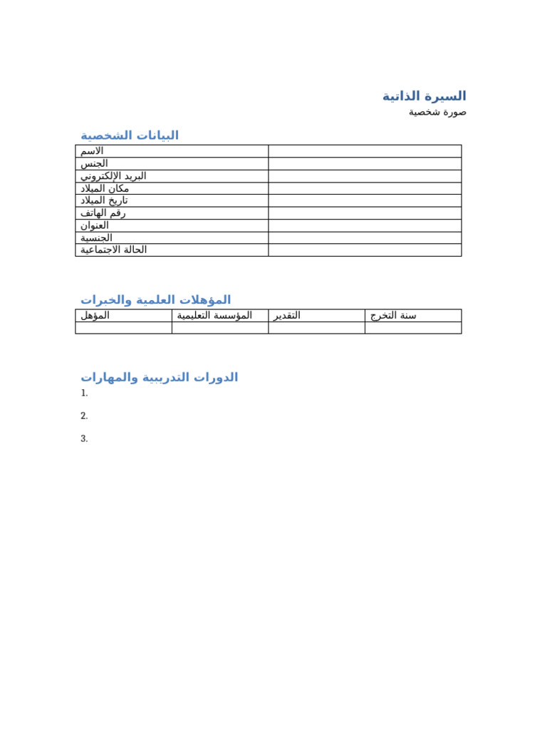Arabic CV Template | PDF