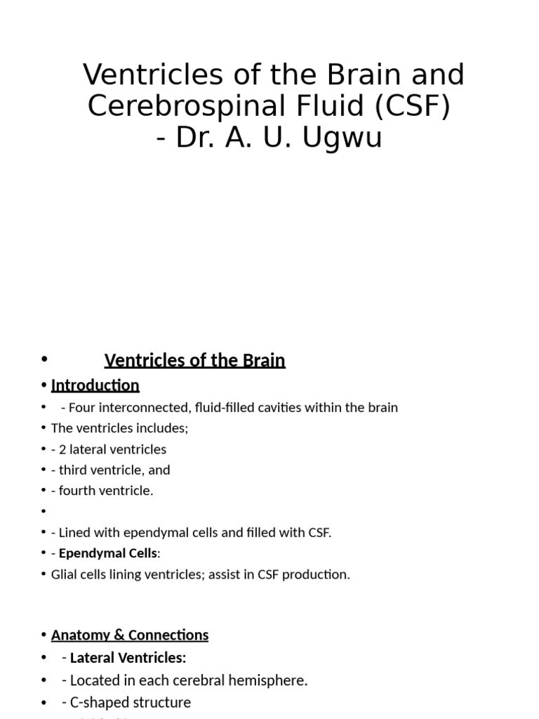 Ventricles of The Brain and CSF - DR A. U. Ugwu | PDF | Cerebrospinal ...