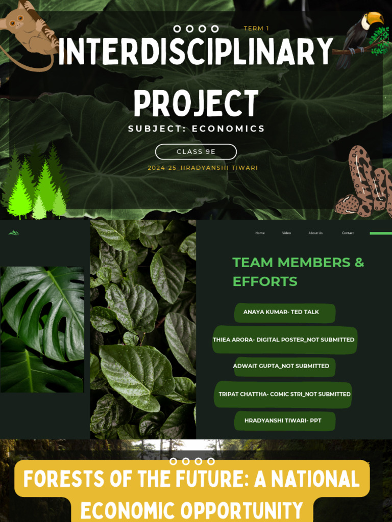 Interdisciplinary Project | PDF | Forests | Sustainability