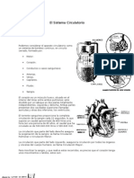 El Sistema Circulatorio