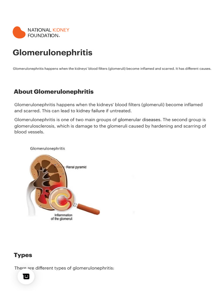 Understanding Glomerulonephritis | PDF | Kidney Disease | Chronic ...
