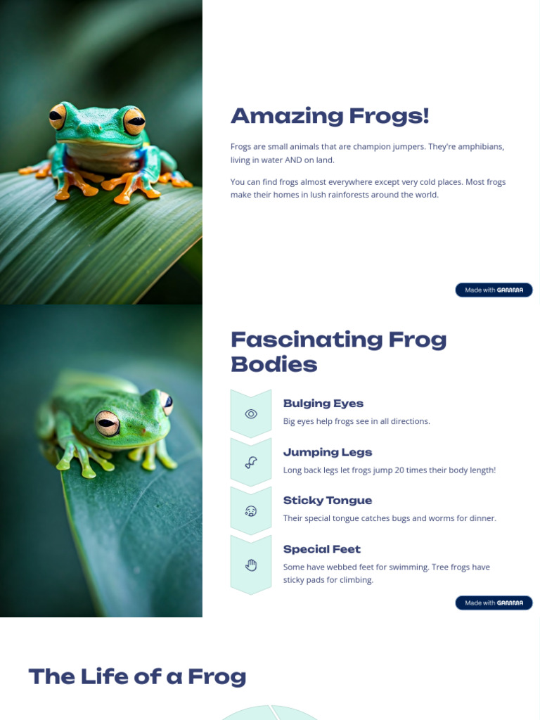 Amazing Facts About Frogs and Their Lives | PDF