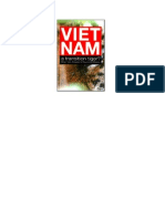 Vietnam A Transition Tiger