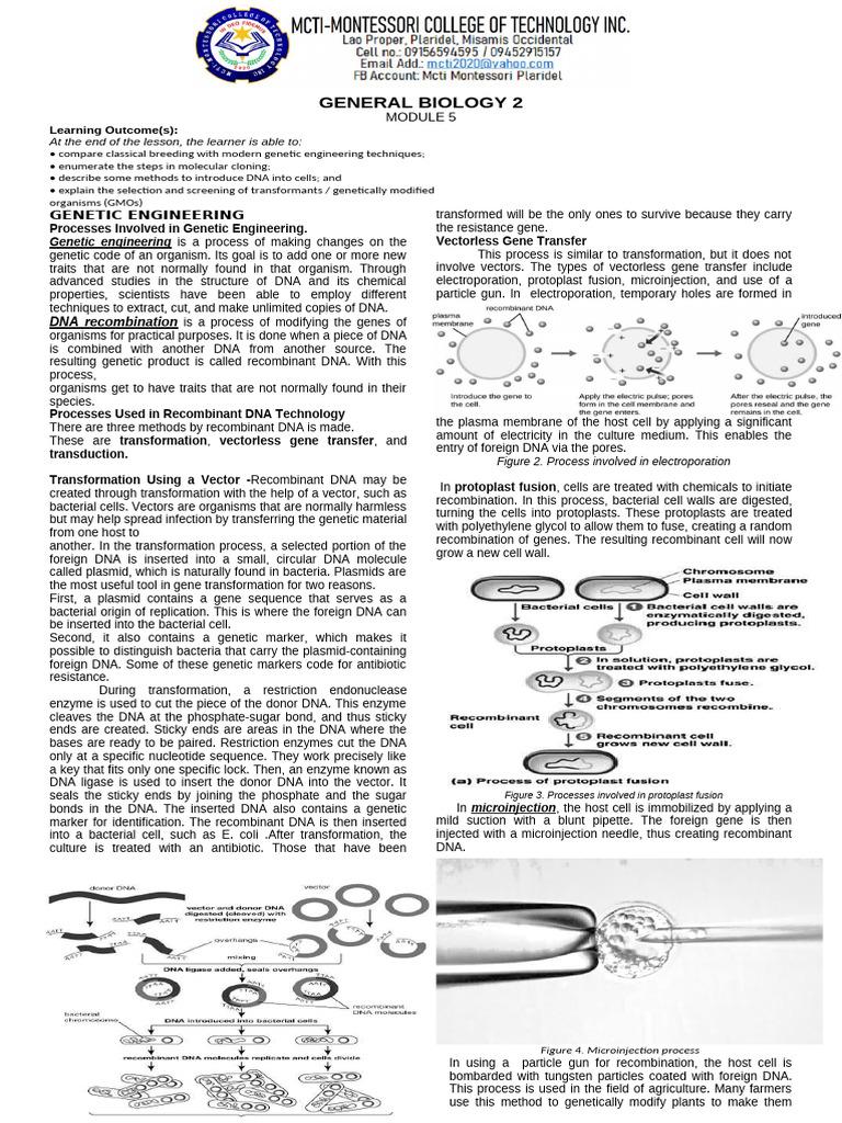 Q3M5 General Biology 2 | PDF | Molecular Cloning | Plasmid