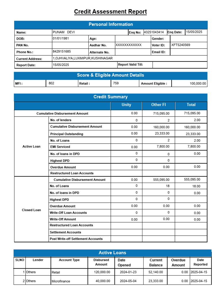Credit Summary Report | PDF | Loans | Finance & Money Management