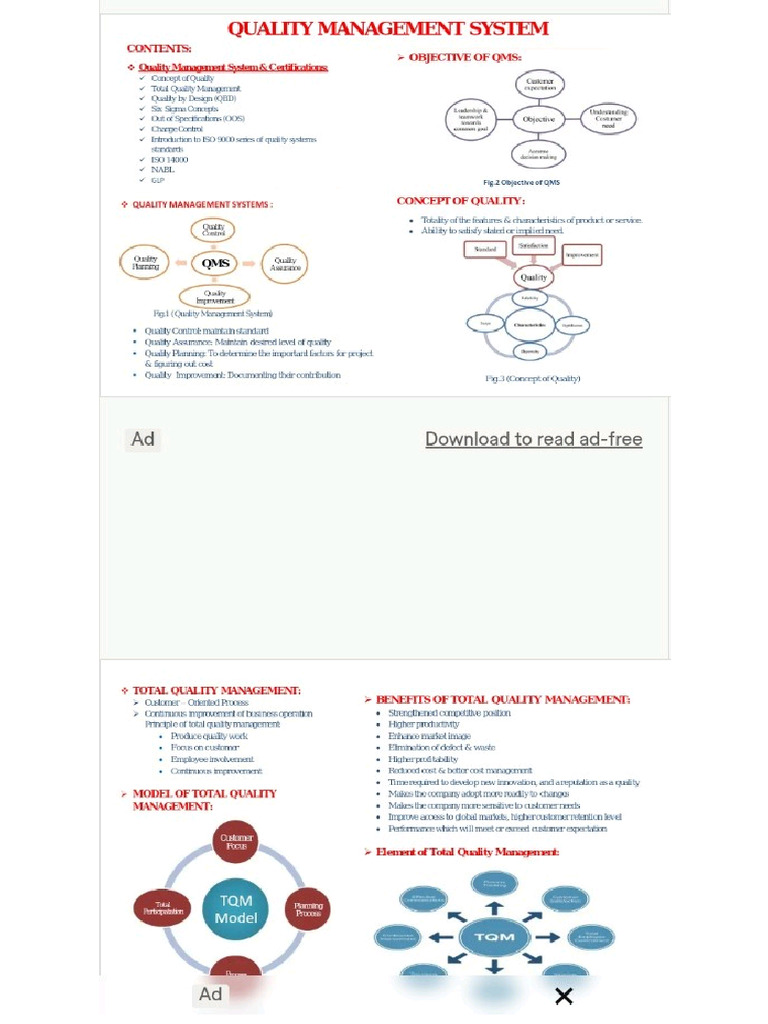 Quality Management System Intro | PDF