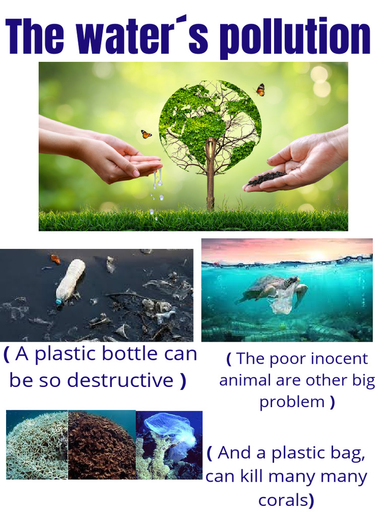 Water Pollution: A Global Crisis | PDF | Water | Pollution