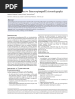 TTE TEE Report Template | PDF