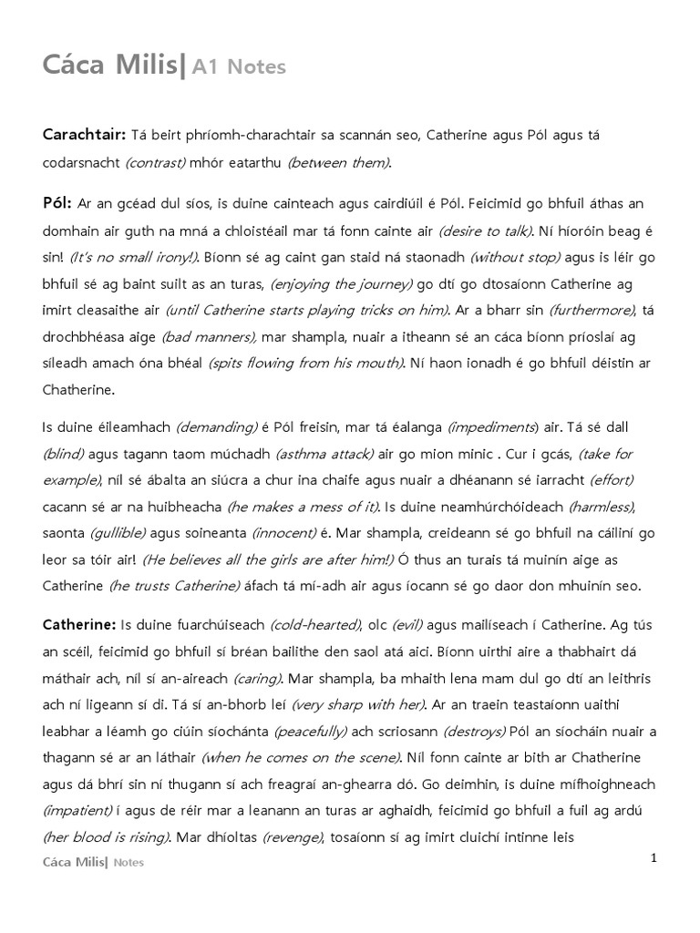 Agóid Ghaelscoile ag Geataí na Dála, image size:768x1024