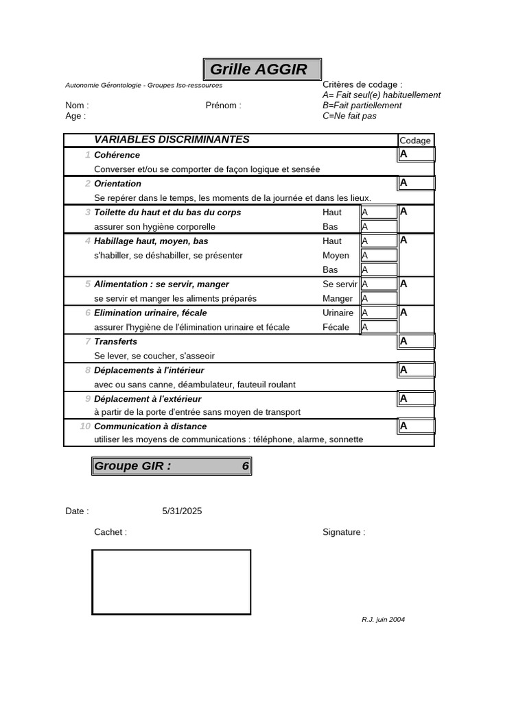 Grille AGGIR : Évaluation Autonomie | PDF