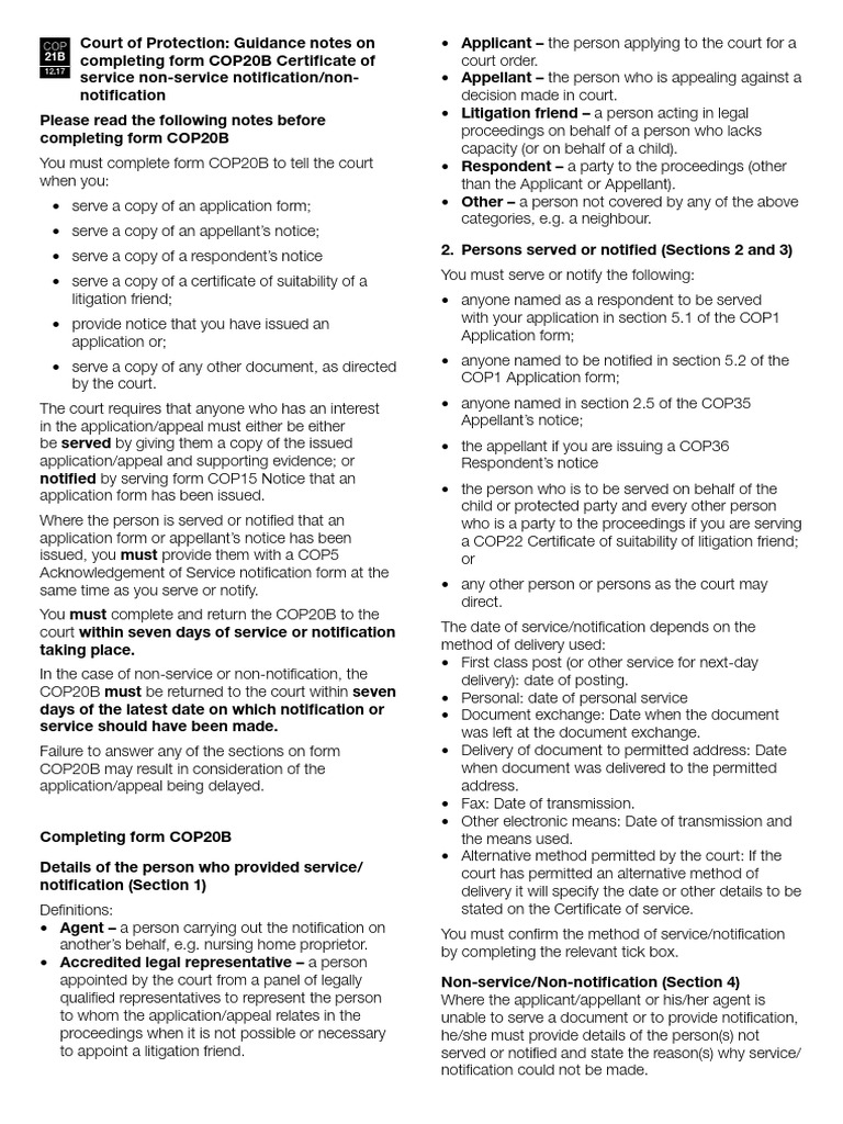 Guidance for Completing COP20B Form | PDF | Lawsuit | Appeal