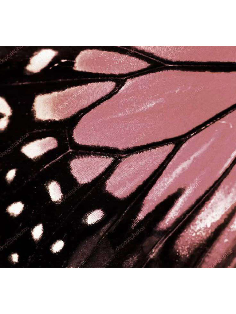 Butterfly | PDF