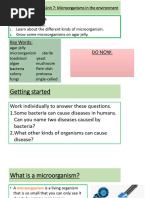 IGCSE Biology 0610 Syllabus 2026-2028 | PDF | Digestion | Breathing