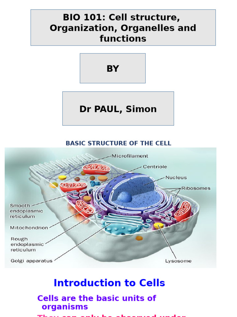 Cell Structure Bio 101 | PDF | Cell (Biology) | Endoplasmic Reticulum
