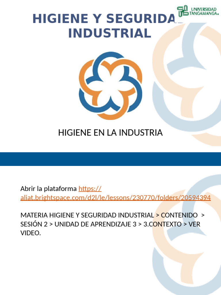Higiene y Seguridad Industrial Esencial | PDF | Radiación | Contaminación