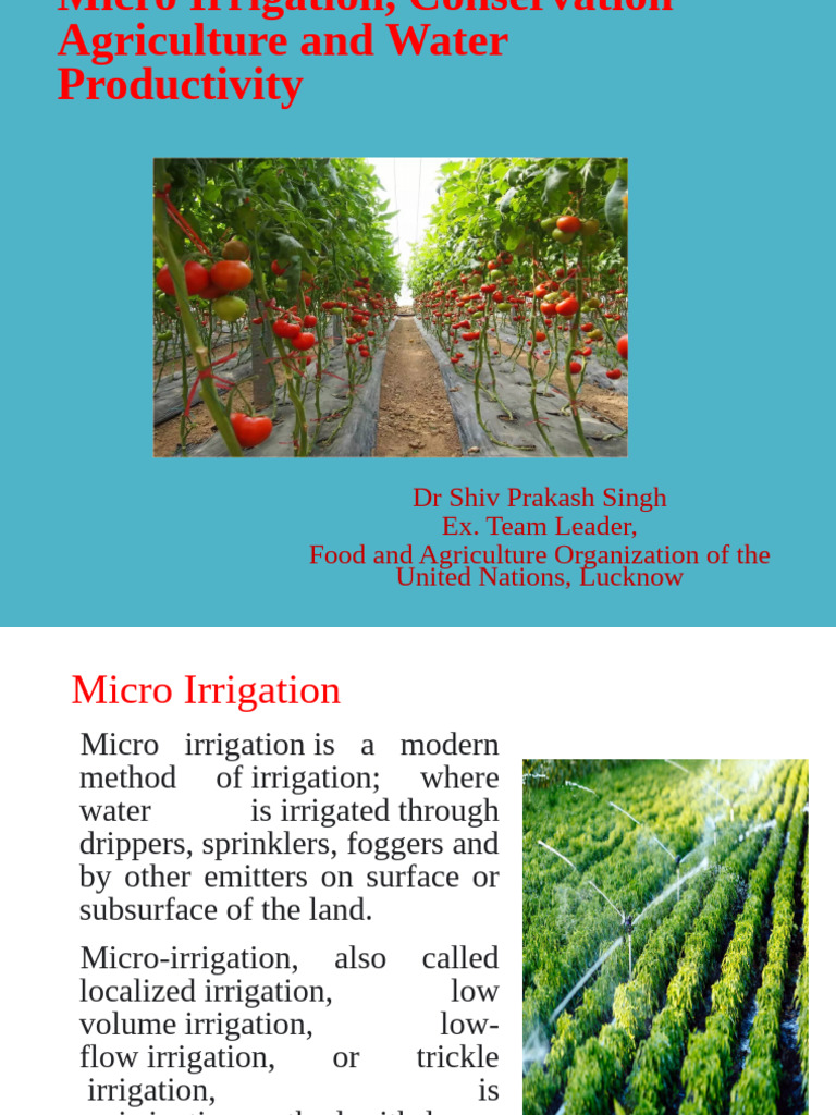 Micro Irrigation Systems Overview | PDF | Crop Rotation | Irrigation