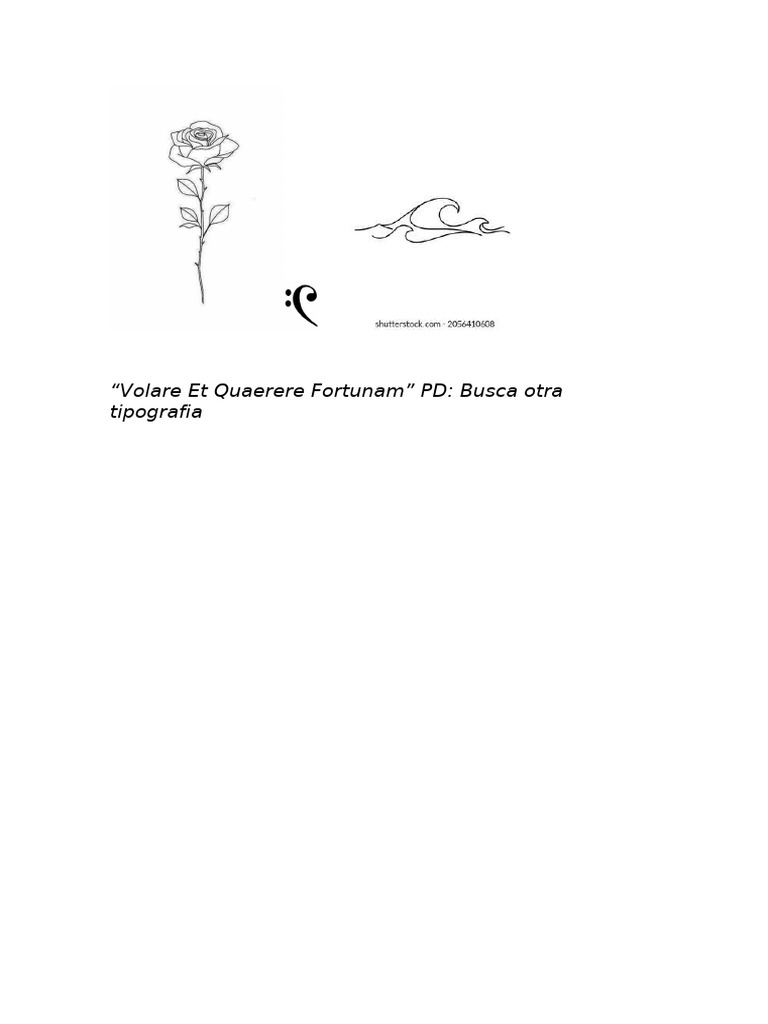 Rosa Diseño | PDF