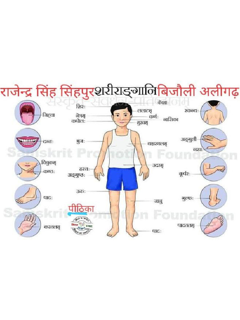 Sanskrit Body Parts PDF