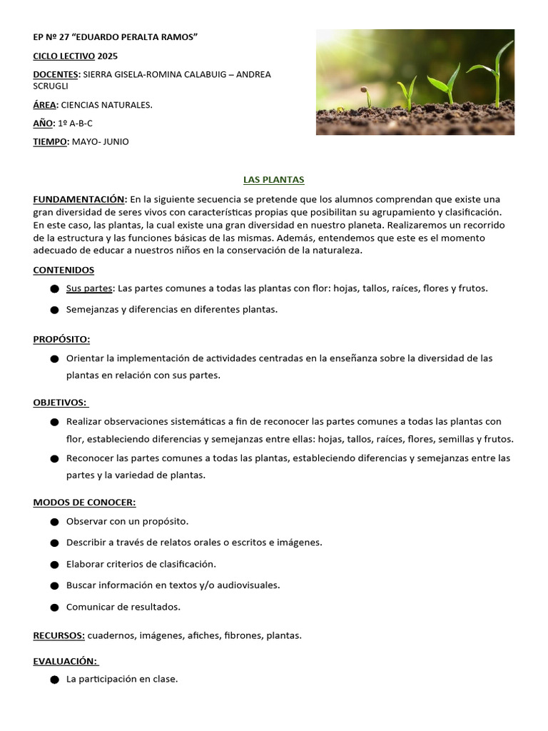 Plantas que crecen del tallo | PDF | Tallo de la planta | Raíz